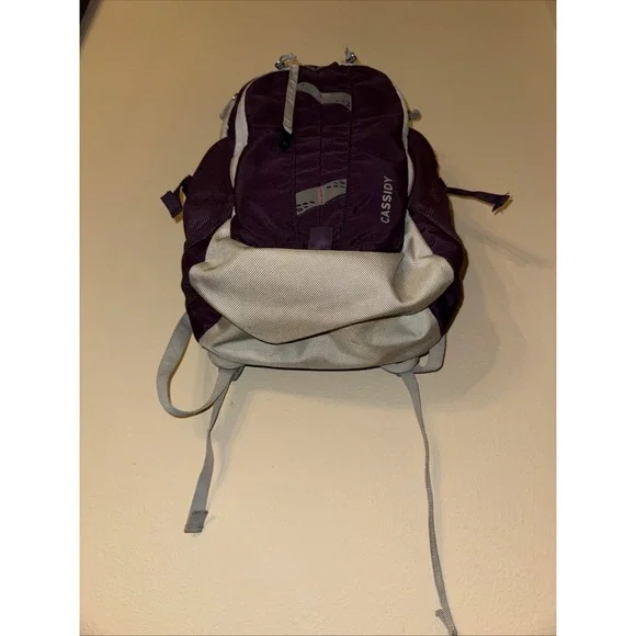 EDDIE BAUER Cassidy Day Pack Hiking Camping College BACKPACK 20L Purple And Gray - Picture 4 of 6